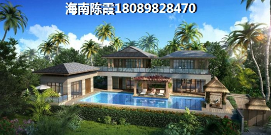 浙江touzi价纸解析~2
