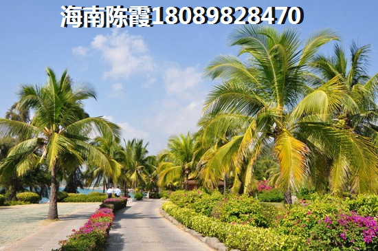 宁波碧桂园御江东 一居  户型图