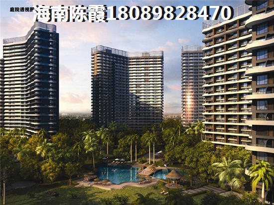 杭州湾新区星河荣誉 一居  户型图