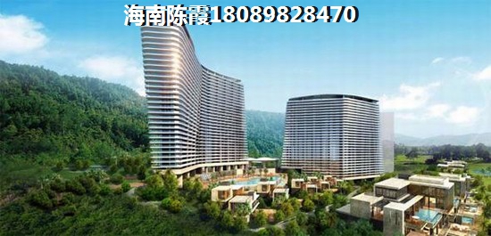 杭州湾碧桂园 观邸 一居  户型图