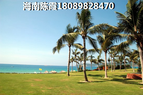 大丰水岸鑫城 两居  户型图