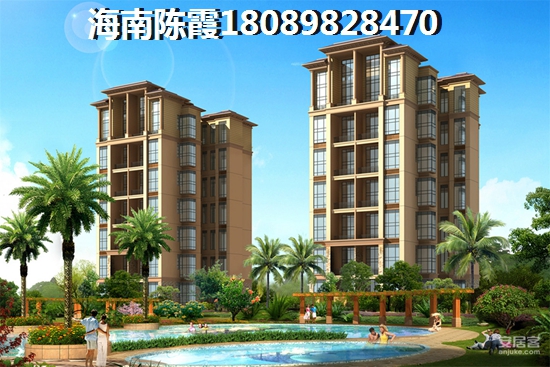 海顿公馆 一居  户型图