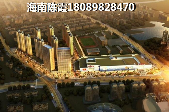 海顿公馆 一居  户型图