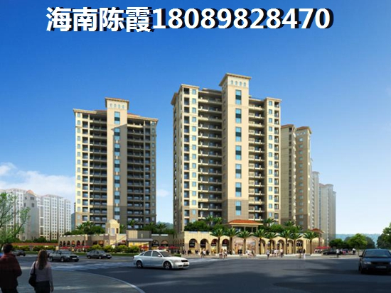 海顿公馆 两居  户型图