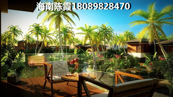 星城半岛 一居  户型图